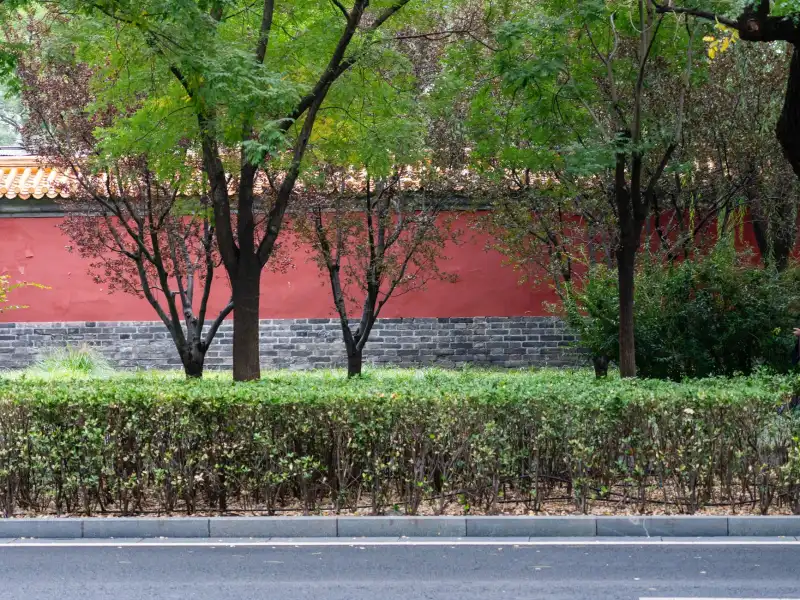 容县沙田柚标准化种植技术及鲜果供应品质保障方案