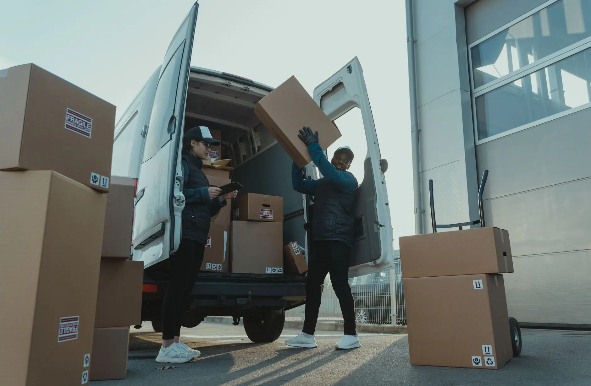 广西沙田柚标准化种植技术要点与采后商品化处理方案