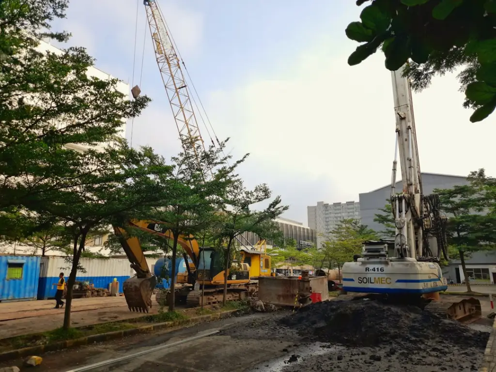 2025年广西沙田柚标准化种植技术要点与品质提升方案