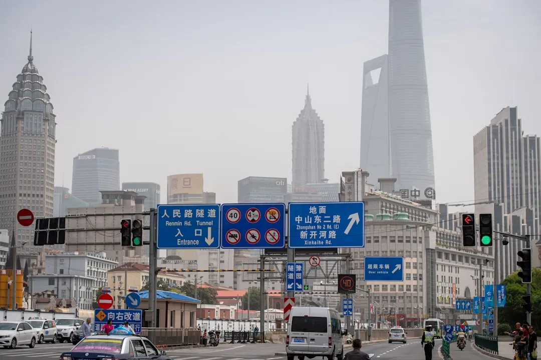 荔枝采后处理工艺对鲜果供应稳定性的影响研究